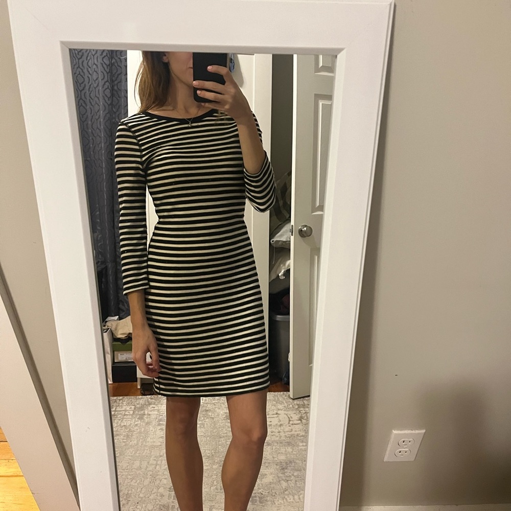 Express Striped Dress